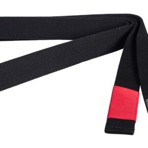 BJJ-Belt Master Schwarz 4,5 cm